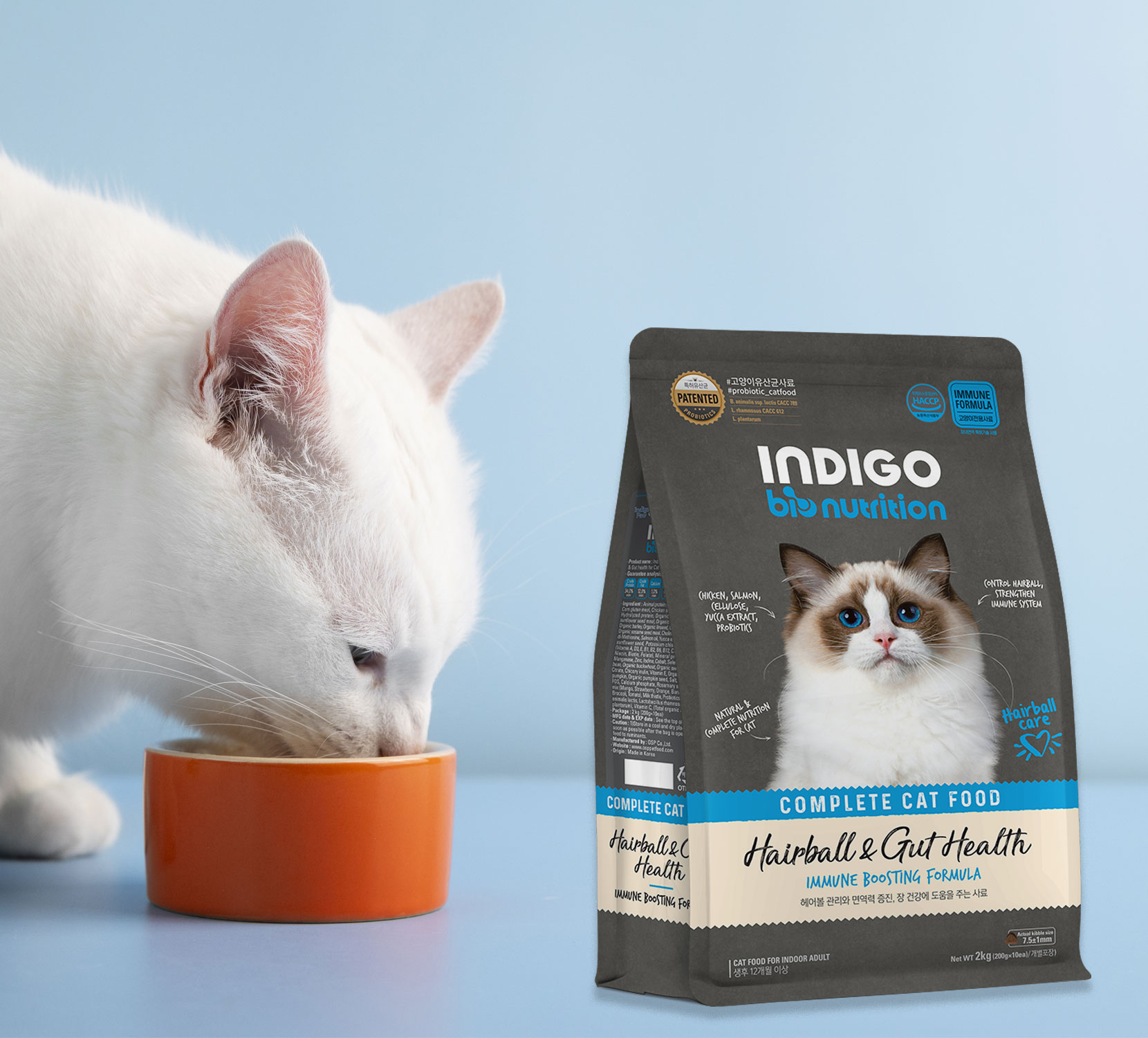 INDIGO – Đã sẵn sàng đồng hành cùng bé cưng tại Việt Nam!