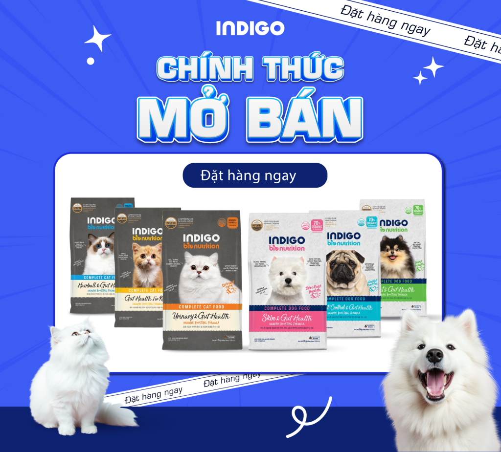 INDIGO – Đã sẵn sàng đồng hành cùng bé cưng tại Việt Nam!