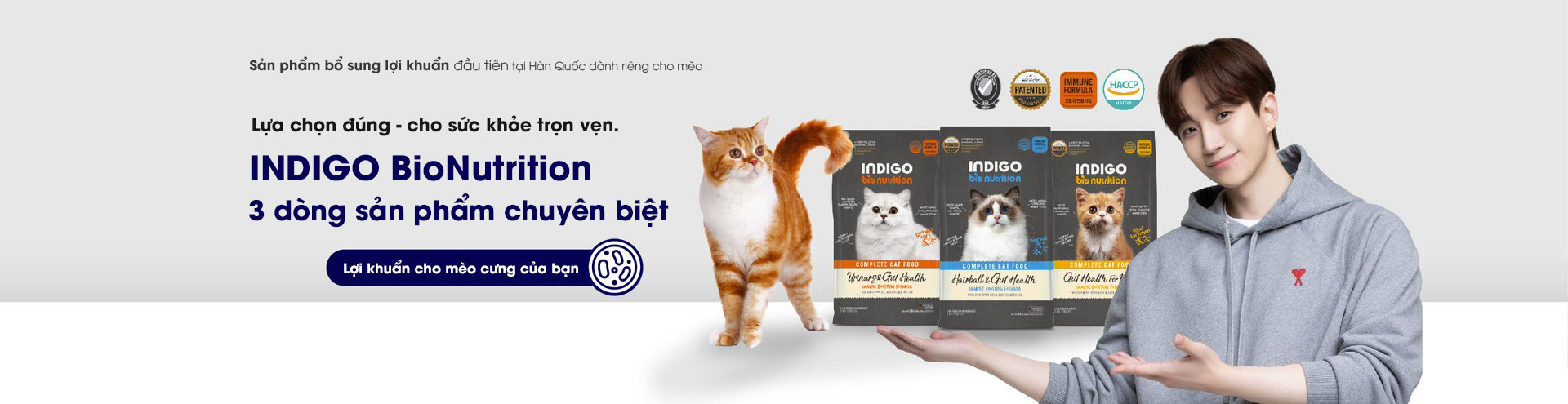 Ảnh nền Indigo Việt Nam