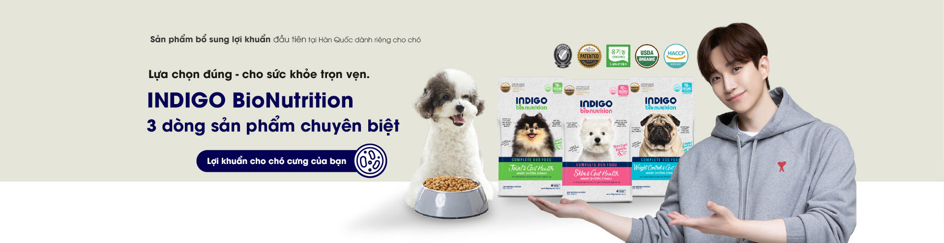 Ảnh nền Indigo Việt Nam